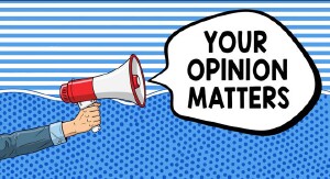 opinion